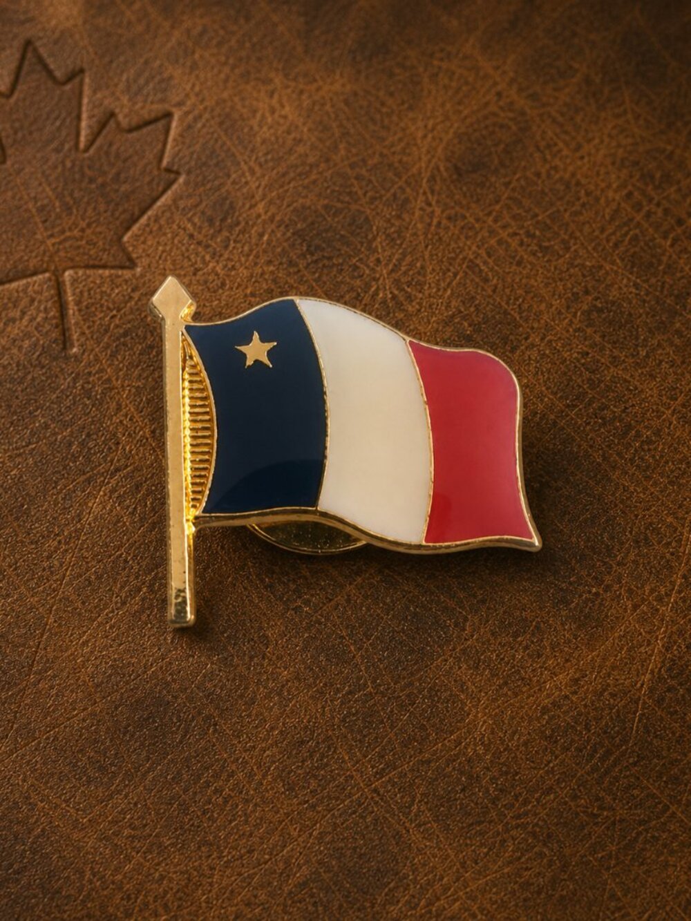 Acadian Acadia National Flag Vintage Canadian Lapel Pin